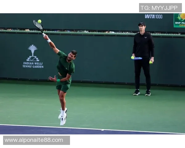 2014年纳达尔与穆雷的巅峰对决回顾与精彩瞬间分析